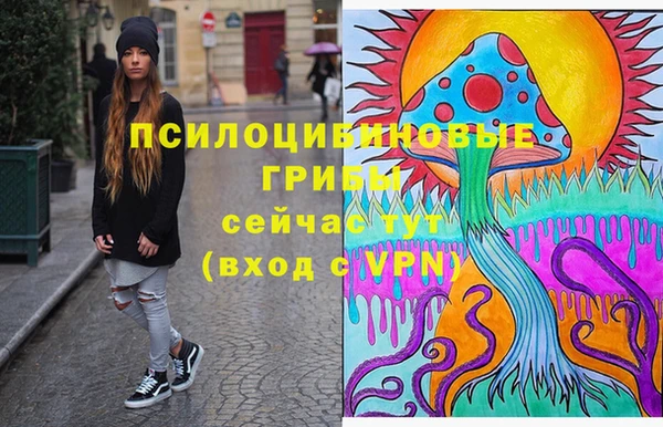 крисы Протвино